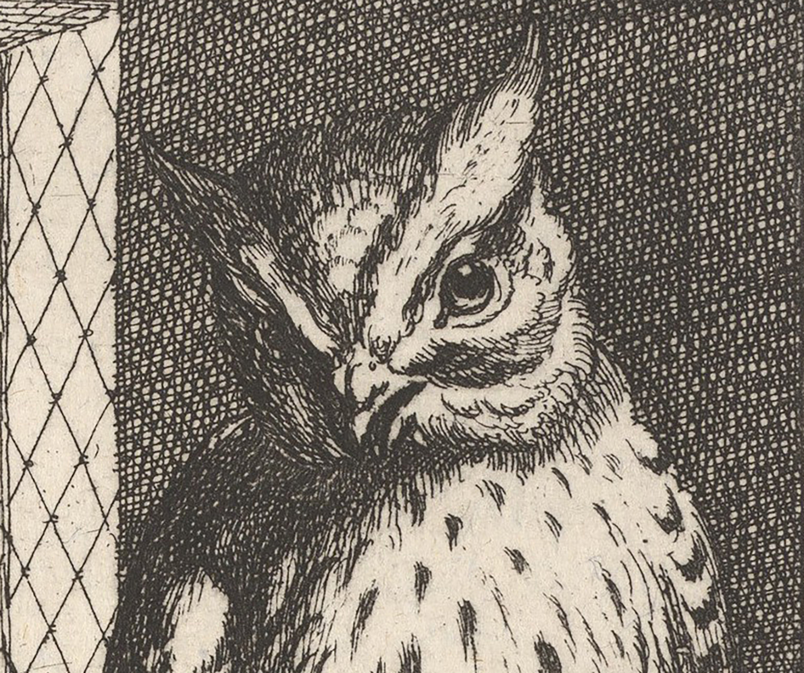detail of etching of an owl
